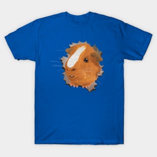 Guinea Pig Surprise! T-Shirt